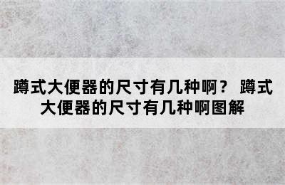 蹲式大便器的尺寸有几种啊？ 蹲式大便器的尺寸有几种啊图解